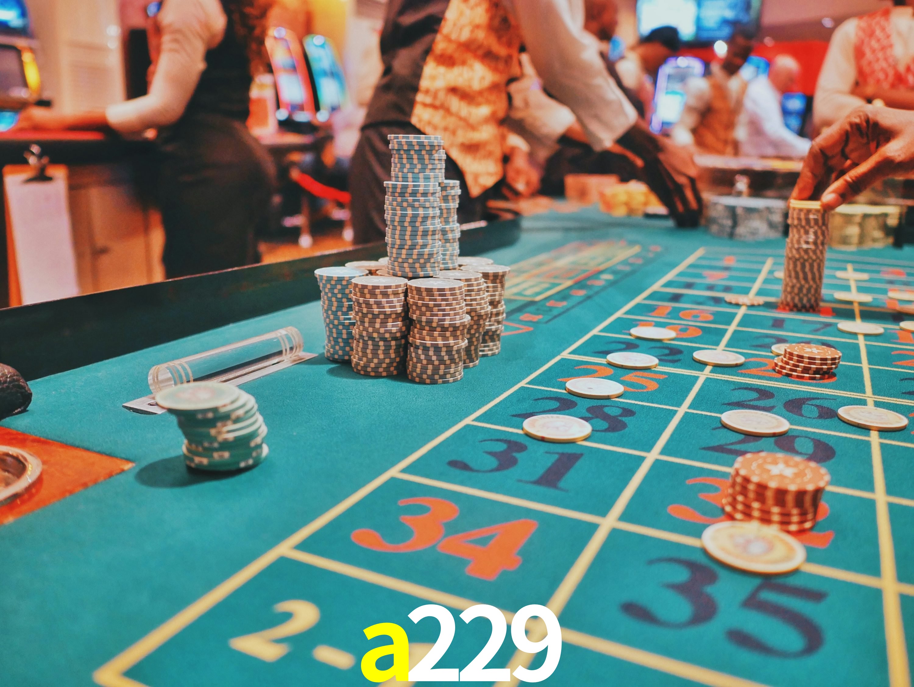 Casino Ao Vivo a229